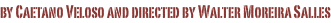 shapeimage_4_link_26
