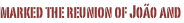 shapeimage_4_link_27